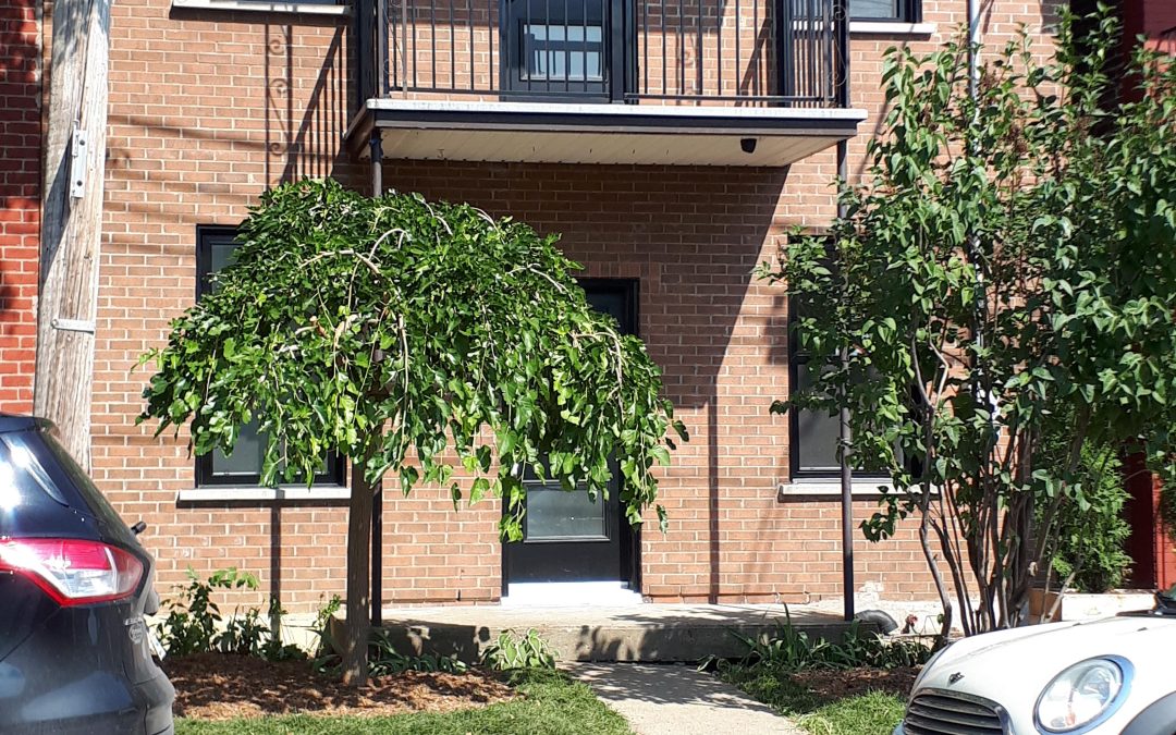 Transformation d’un duplex en maison familiale lumineuse