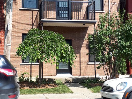 Transformation of a duplex into a bright family home