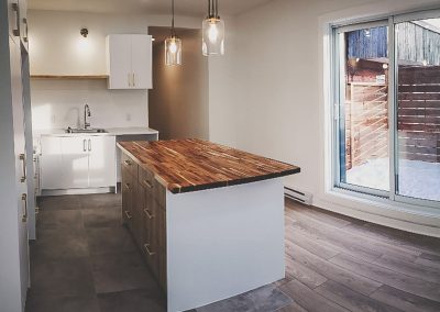 Complete renovation of a Montreal apartment
