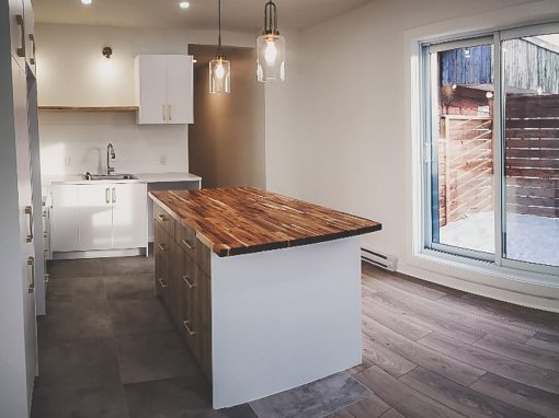 Complete renovation of a Montreal apartment